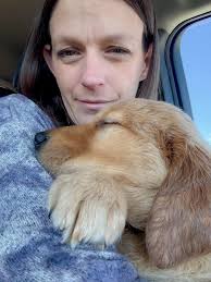 Homeward Bound Movie Discussion and Nostalgia