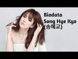 Ia pernah menjadi wakil korea selatan di pameran foto dunia channel 45. Biodata Song Hye Kyo ì†¡í˜œêµ Youtube