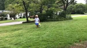 I am thankful to allstate for helping with my pest problems! Safespray Pest Control Home Facebook