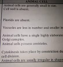 However, because proteins vary in size, charge, and water solubility, no single method can be used to isolate all proteins. Describe An Animal Cell Brainly In