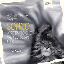 I Post Umi Del Weekend Buongiorno Ho Talmente Tanto Sonno Arretrato Che Faccio I Sogni In Lire Lunedi Cats Buongiorno Divertente Buongiorno Sonno