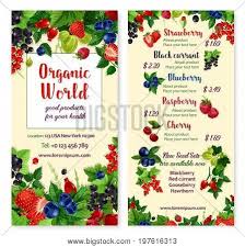 Check spelling or type a new query. Berries Vector Menu Vector Photo Free Trial Bigstock