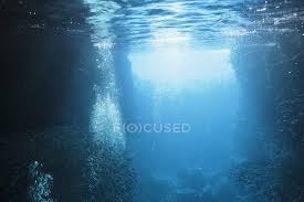 Underwater picture of pacific ocean. Schools Of Fish Swimming Underwater In Tranquil Blue Ocean Vava U Tonga Pacific Ocean Background Tide Stock Photo 221352144