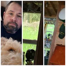 I'm snuggling with this animal while these animals dine right outside my  kitchen window. Love my house.