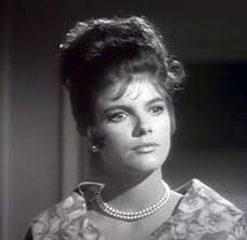 The Lieutenant" Fall from a White Horse (TV Episode 1963)