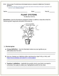 Plant Hormones And Responses Vocabulary Build Up Activity 10b Tpt