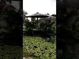 Самые новые твиты от sman 1 perbaungan (@sman1perbaungan): Kebun Binatang R Zoo Perbaungan Serdang Bedagai Youtube