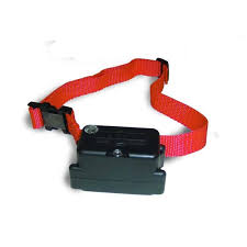 Ou encore dors sur le canap� du salon ? Collier Supplementaire Pour Cloture Anti Fugue Chien Tetu