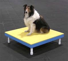 Tdaa Teacup Pause Table From Affordable Agility Dog Agility Course Diy Dog Agility Course Dog Agility