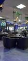 Ambience - Picture of Gusto Lounge Pretoria - Tripadvisor