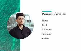 The template includes a lot of general guidelines and things that are important and should be kept in mind while writing a biography. Professional Profile Template Free Pdf Ppt Download Slidebean