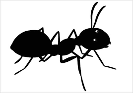 High resolution raster & vector file formats: Silhouette Ant Clipart Black And White Jelitaf