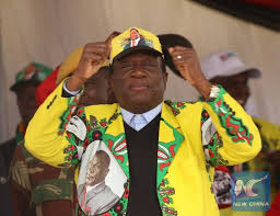 Zimbabwean Ruling Party Promises To Accept Election Results Xinhua English News Cn