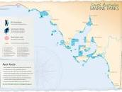 Image result for "Cap Island Conservation Park", SOUTH AUSTRALIA