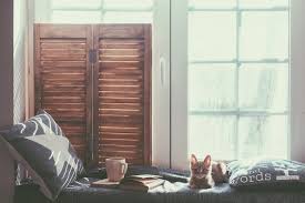 Ellen scottthursday 4 jul 2019 6 salt lamps can be deadly for your pets (picture: Veterinarians Are Warning Pet Owners About The Deadly Risk Of Salt Lamps Best Life