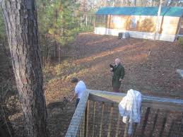 We did not find results for: Our Tents Camping Picture Of Sam Houston Jones State Park Lake Charles Tripadvisor