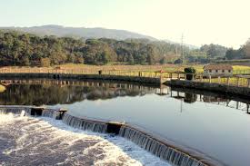 Check spelling or type a new query. Touristic Places Local Accommodation In Sto Tirso Solar S Bento