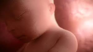 18 Weeks Pregnant Baby Development Symptoms Signs Week By Week