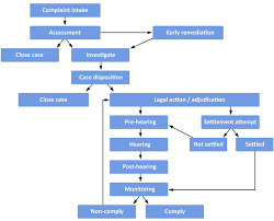 74 Exhaustive Patient Intake Process Flow Chart