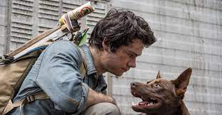 Alternativen zu kinox.to, movie4k, streamcloud, hdfilme. Love And Monsters Film 2021 Trailer Kritik Kino De