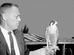 Then and Now: Boise's 8th and Idaho Streets Transformation