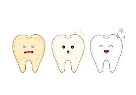 نتیجه جستجوی لغت [dent] در گوگل