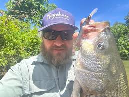 I hear you all out east get to call them Squidheads or Squidhounds, but if  they're feasting