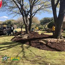 Jc lawn service is a lawn care service in dallas, tx. Spring Lawn Care And Lawn Cleanup Services In Dallas