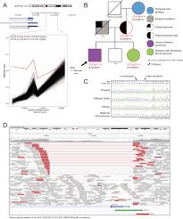 Diagnostic utility of DNA methylation analysis in genetically unsolved  pediatric epilepsies and CHD2 episignature refinement