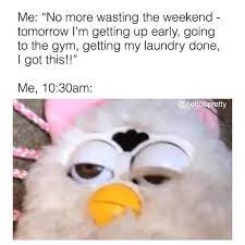 Pin On Funny