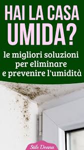 Casa Umida Le Soluzioni Per Deumidificarla E Prevenire La Comparsa Della Muffa Rimedi Pulizia Della Casa Detergente Fatto In Casa Consigli Per La Pulizia