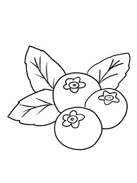 4 pound (pack of 2). Blueberry Coloring Image Print Blueberries Are Small Fruit Rich Fruits That Are Rich In Benefits Fruit Coloring Pages Coloring Pages Coloring Pages To Print