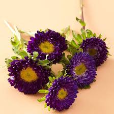 Romantic Flower Meanings Flower Meanings Anniversary Flowers Romantic Flowers