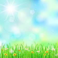 Spring Green Grass Background Vector Material Spring Background Images Simple Background Images Free Vector Graphics