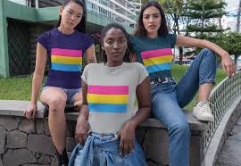 What Is The Pansexual Flag And Who Does It Represent Cade Hildreth