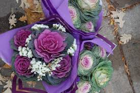 Maybe you would like to learn more about one of these? Farmers Market White Bear Lake Minnesota