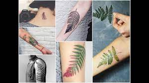 It's a national symbol of newzealand and has a meaning of rebirth. Top 30 Most Beautiful Fern Leaf Tattoo Design Ideas Youtube