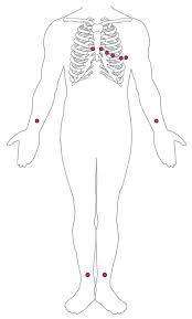 19 2 Cardiac Muscle And Electrical Activity Anatomy And