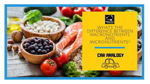 Macronutrient, micronutrients, and water 1 macronutrient structure and function food is composed of some combination of three macronutrients: What S The Difference Between Macronutrients And Micronutrients