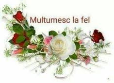 Broasca din rai era odată o broasca pe nume oac. 100 Multumesc Ideas MulÈumesc Citate De MulÈumire FelicitÄri