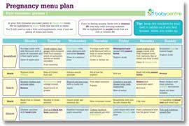 48 Clean Meal Chart For Pregnancy