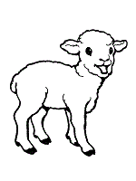 Lamb coloring pages, lamb coloring page, lambs coloring pages, lamb pictures, lamb coloring book pages, lamb color pages. Lamb And Sheep Coloring Pages And Printable Activities