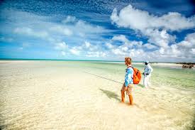 Andros Island – Bahamas Flavour