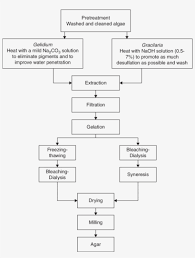 3 Flow Diagram For Agar Production Production Of Agar From