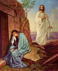 Has been added to your cart. Christ Is Risen Christ Is Risen Wikipedia