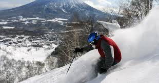 cannot persist the object it was modified or deleted purged by another application niseko japan best ski resorts skiing in japan