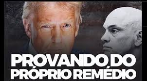 Fernando Araripe Torres