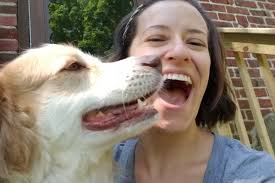 Fundraiser by Chelsea Pisula : Daisy May's Final Vet Expenses