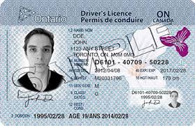 Ontario Drivers Licence Renewal How To Renew Drivers Licence