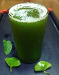 Gotu Kola Mint Juice Recipe A Very Special Healthy Drink Recipe Healthy Drinks Juicing Recipes Gotu Kola
